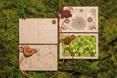 Martisor si carte postala - mai multe modele