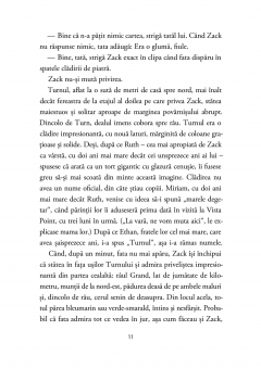 Misterul turnului din Vista Point