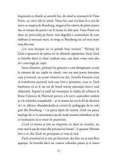 Misterul turnului din Vista Point