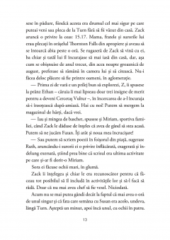 Misterul turnului din Vista Point