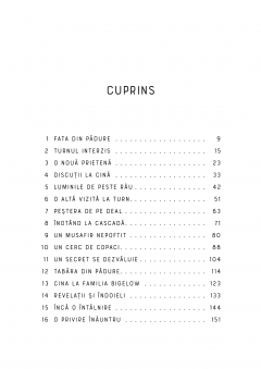 Misterul turnului din Vista Point