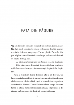 Misterul turnului din Vista Point