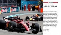 Formula 1 Drive to Survive - The Unofficial Companion