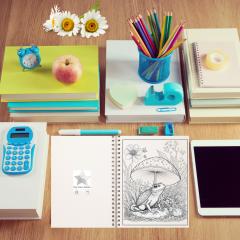 50 Mandale - Carte de colorat pentru adulti - Ciuperci