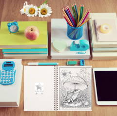 50 Mandale - Carte de colorat pentru adulti - Ciuperci