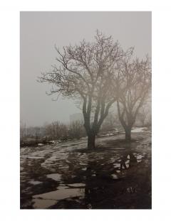 Album de fotografie: Sieranevada