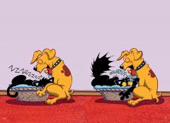 Bad Kitty: School Daze