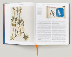 Anna Atkins. Cyanotypes