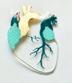 Brosa - Inima transparenta