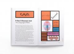 The Secret Lives of Molecules