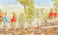 Peter Rabbit: Peter's Nature Walk