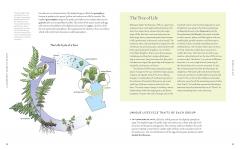 A Gardener's Guide to Botany