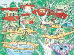 The 13-Storey Treehouse