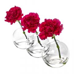 Vaza - Rene Barba - Caterpillar