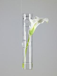 Vaza- Rene Belehradek 