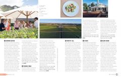 Wine Trails - Lonely Planet Food