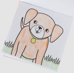 Carry along coloring book set - Pet Pals