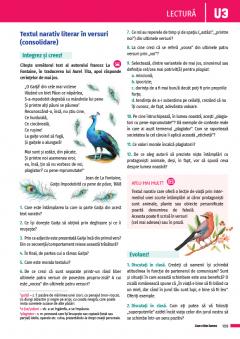 Limba si literatura romana. Manual clasa a VI-a