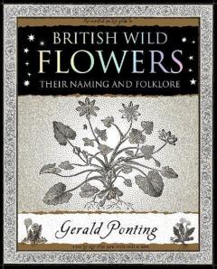 British Wild Flowers