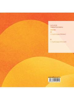 Ce-am pierdut in foc - Vinyl