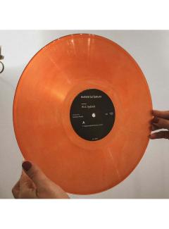 Inelele lui Saturn - Vinyl