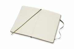 Carnet - Moleskine Leather - Box Edition - Hard Cover, Large, Ruled - Moss Green