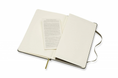 Carnet - Moleskine Leather - Box Edition - Hard Cover, Large, Ruled - Moss Green