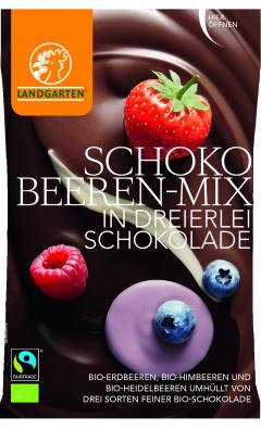 Fructe de padure in mix de ciocolata - BIO + RO-ECO-007