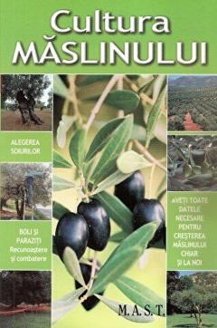 Cultura maslinului