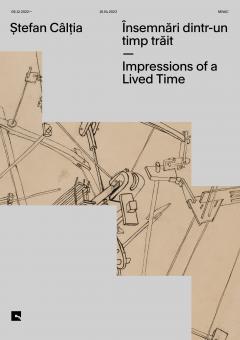 Stefan Caltia. Insemnari dintr-un timp trait / Impressions of a Lived Time