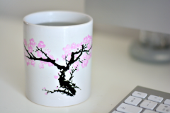 Cana termosensibila - Flori de cires