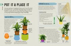 How Not to Kill Your House Plant