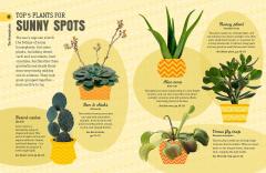 How Not to Kill Your House Plant