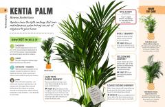 How Not to Kill Your House Plant