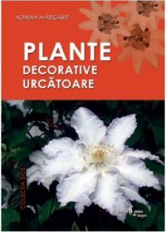 Plante decorative urcatoare