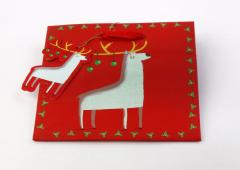 Punga cadou - Brrrr, 13x13cm