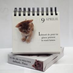 365 de zile cu mica mea rasfatata... Pisica