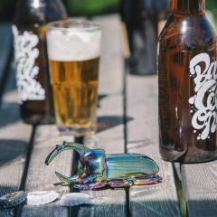 Desfacator de sticle - Carabus