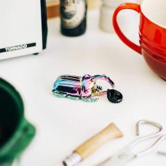 Desfacator de sticle - Carabus