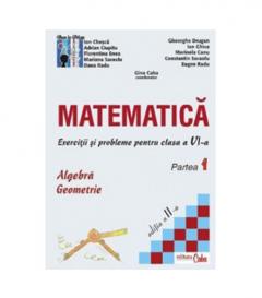 Matematica - exercitii si probleme pentru clasa a VI-a, partea I