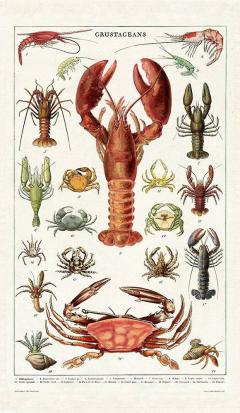 Servet pentru ceai-Crustacee