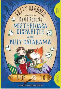 Misteroasa disparitie a lui Billy Catarama