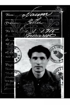 Gellu Naum 100 - franceza