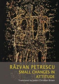 Small Changes in Attitude