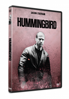 Legea strazii / Hummingbird