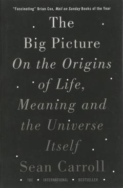 The Big Picture - On the Origins of Life, Meaning and the Universe Itself