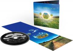 Metallic Spheres In Colour