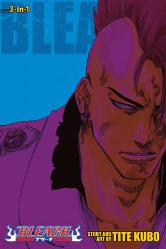 Bleach 3-in-1 Edition - Volume 23