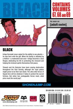 Bleach 3-in-1 Edition - Volume 23