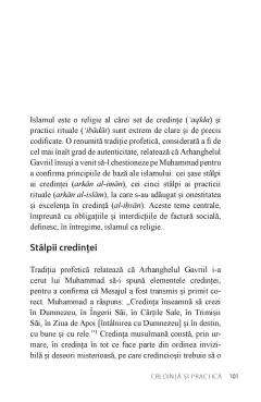Islamul. Principii, ritualuri, evolutie, provocari